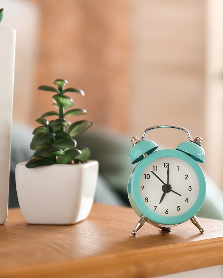 Clock on a table with a succulent plant in therapy office